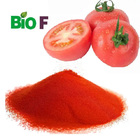 Food Grade Tomato Powder Natural Dried Tomato Extract Powder